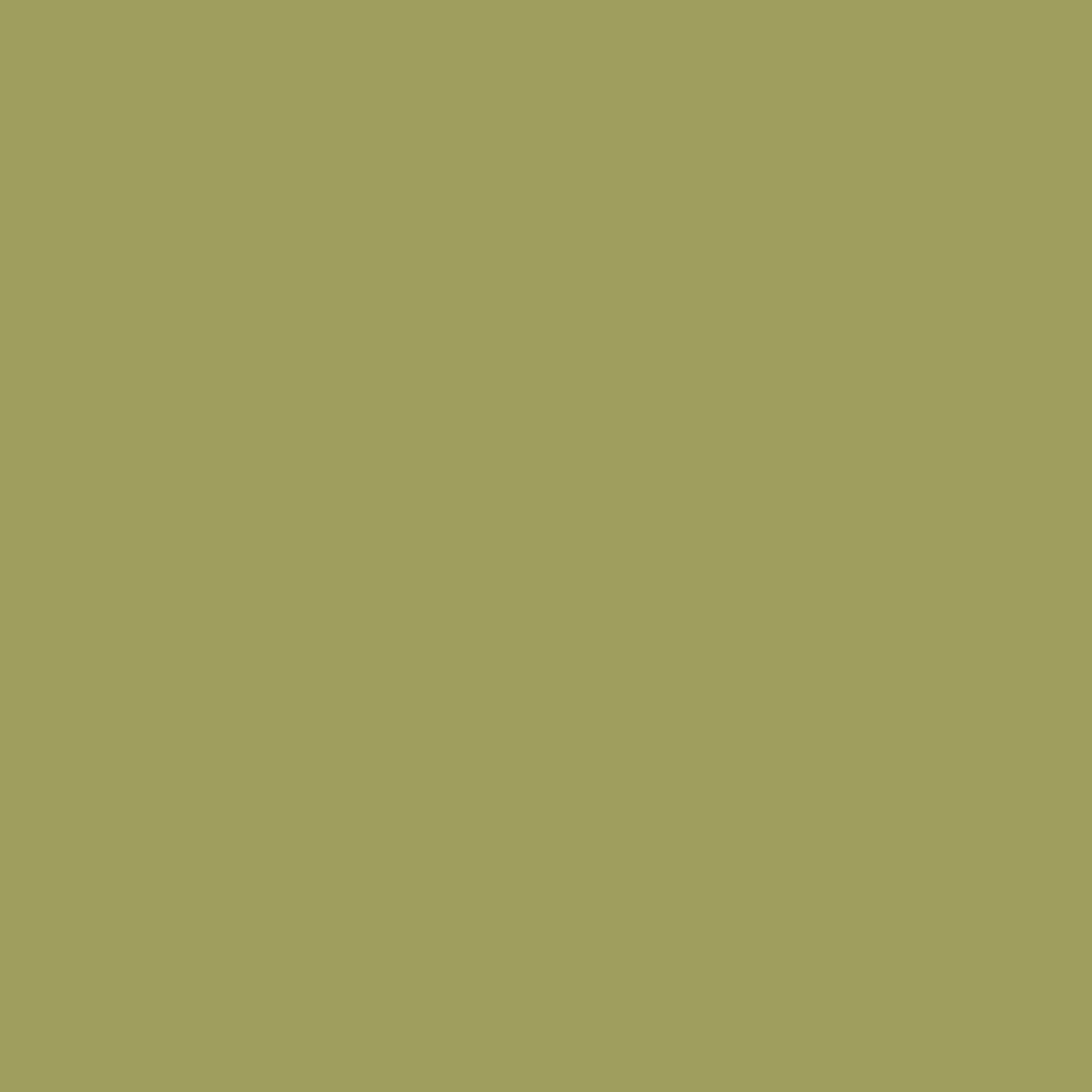 Little Greene Big Book Of Colour цвет LG 31 D 03