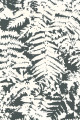 Обои Little Greene 20th Century Papers Fern Off Black