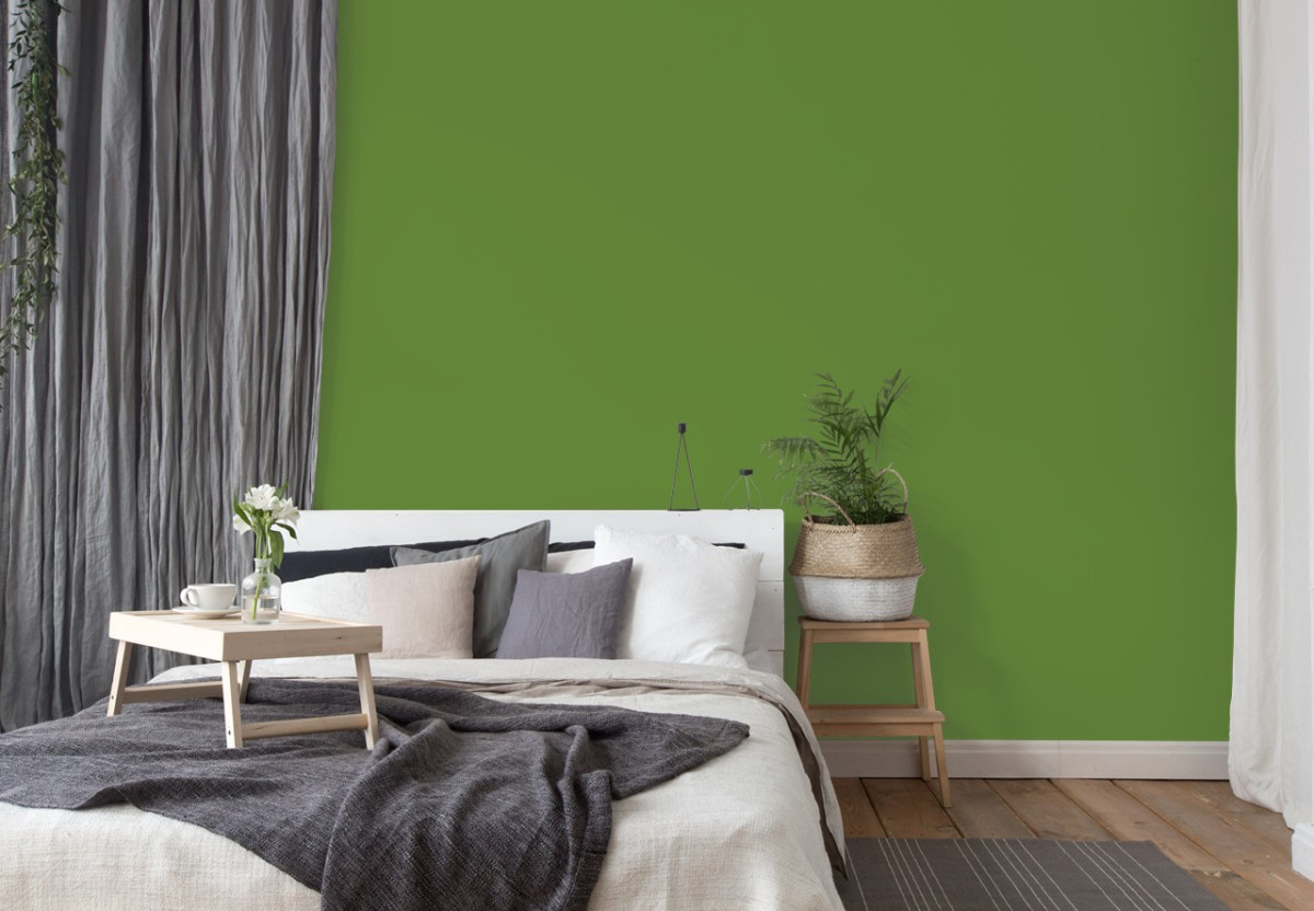 Краска Little Greene цвет Sage & Onions 288