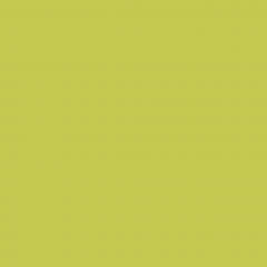 Краска Little Greene цвет Pale Lime 70