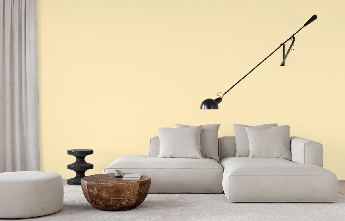 Краска Little Greene цвет French Stone