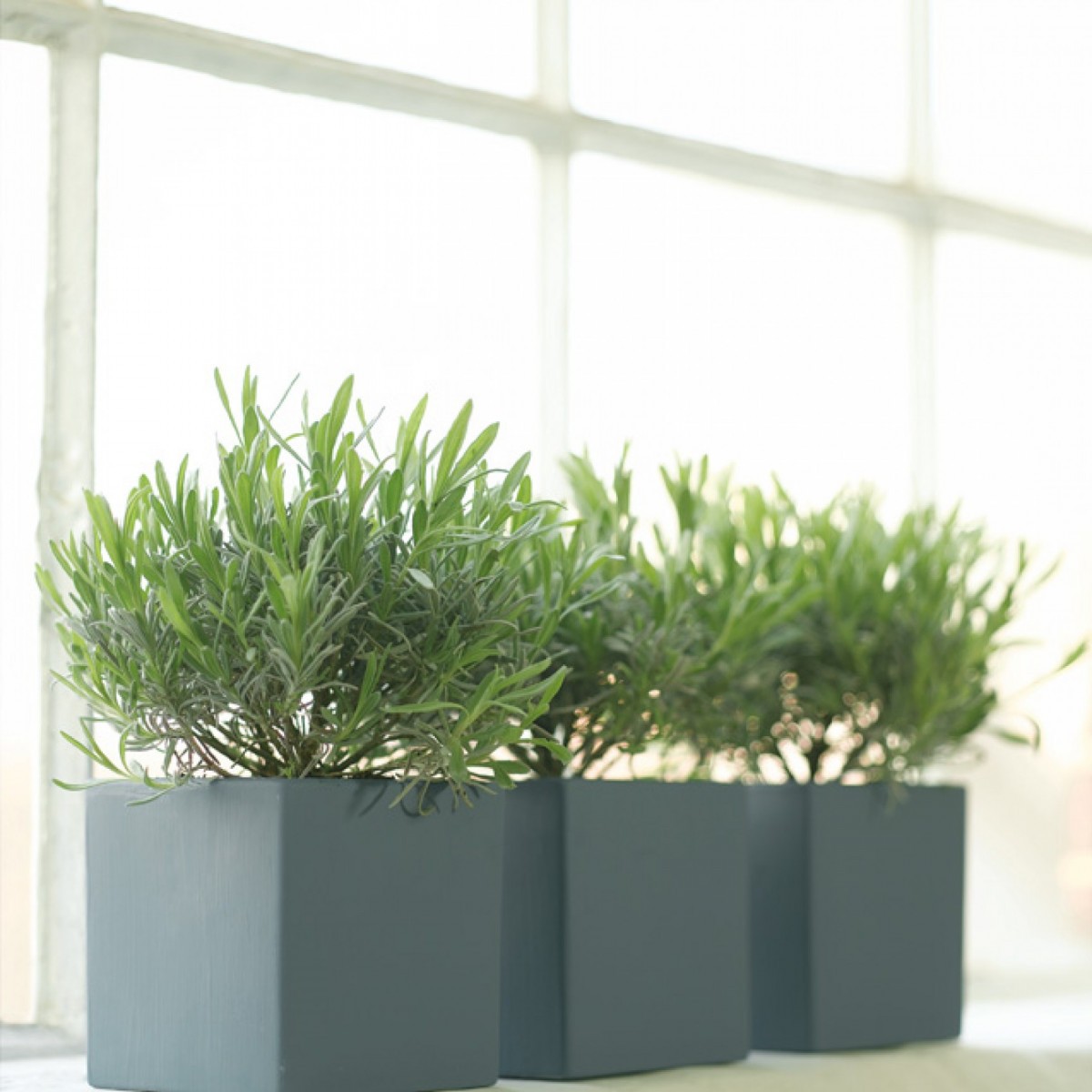 Краска Little Greene цвет Juniper Ash 115