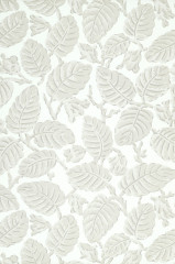 Обои Little Greene National Trust Papers II Beech Nut Warm Grey