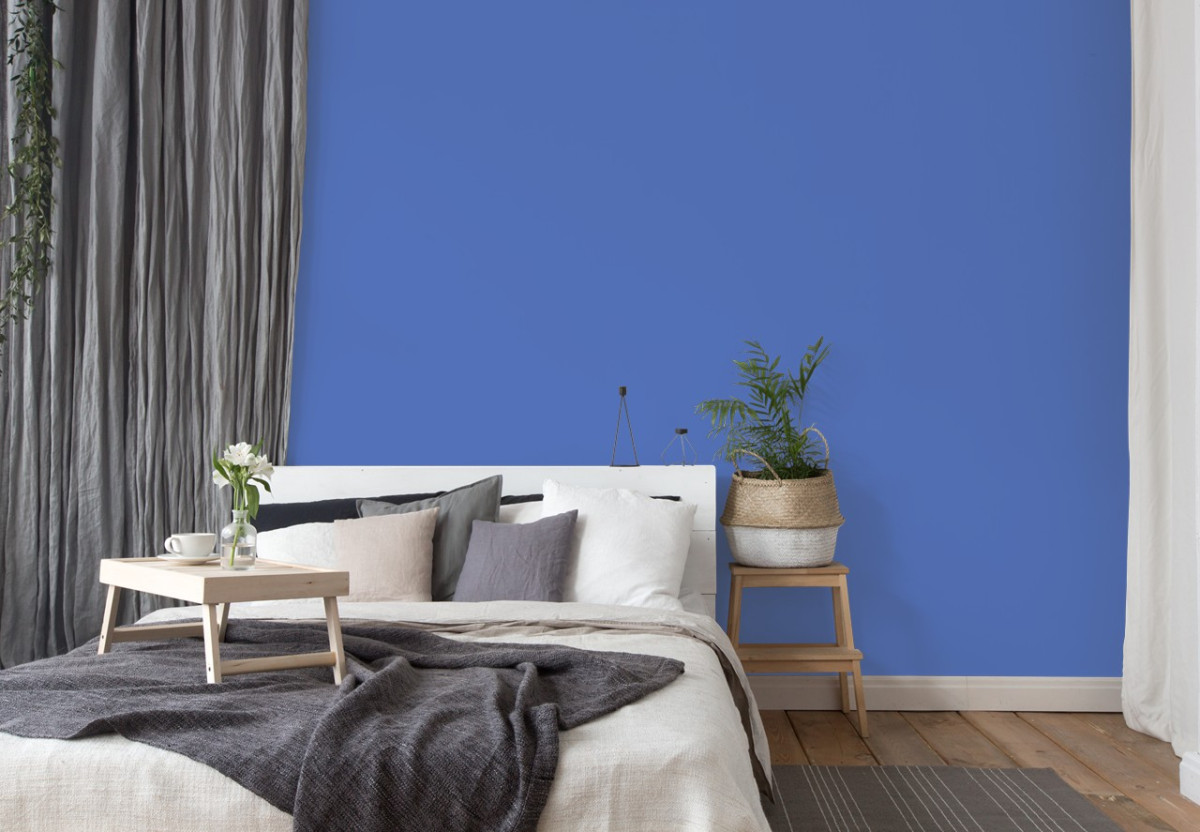 Краска Little Greene цвет Mambo 112