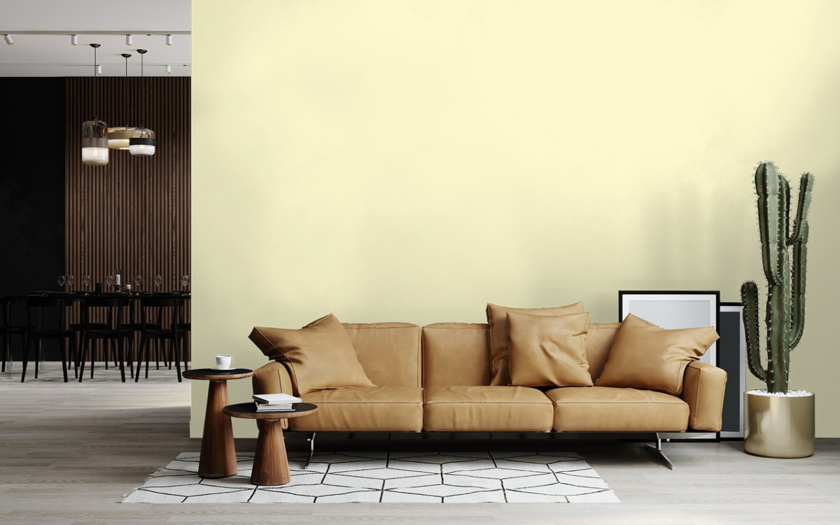 Краска Little Greene цвет Dover White