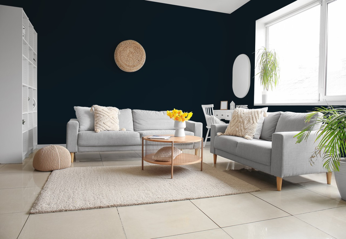 Краска Little Greene цвет Basalt 221