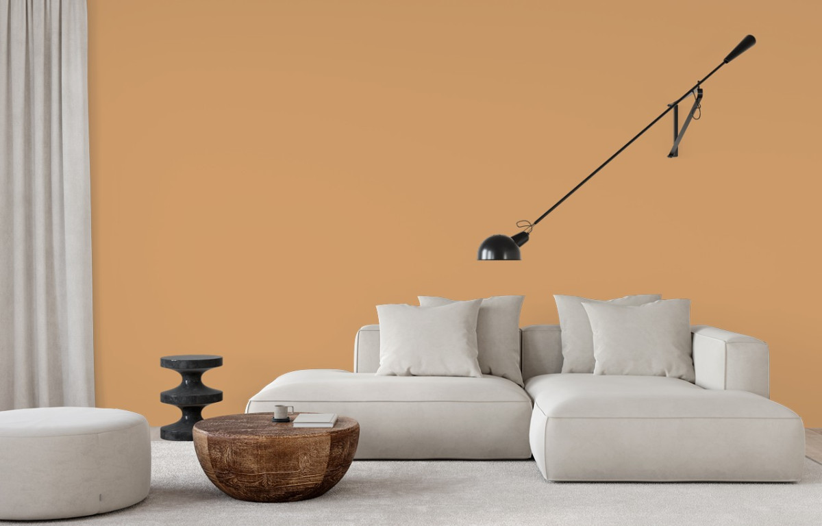 Краска Little Greene цвет Terra di Sienna