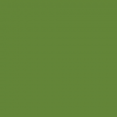 Краска Little Greene цвет Sage & Onions 288