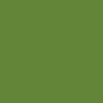 Краска Little Greene цвет Sage & Onions 288