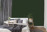 Краска Little Greene цвет Mid Bronze Green 125