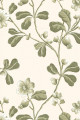 Обои Little Greene London Wallpapers IV Broadwick St Garden