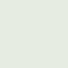 Краска Little Greene цвет Pearl Colour Pale 167