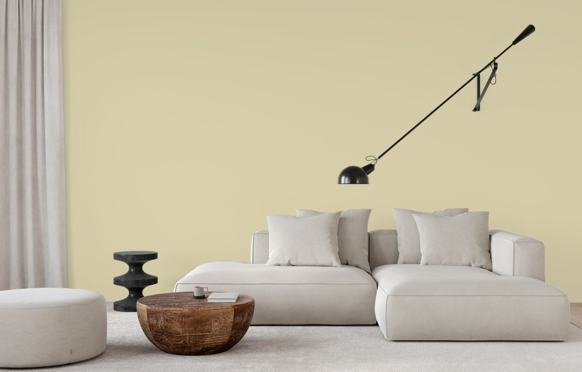 Краска Little Greene цвет Stone-Mid-Cool 66