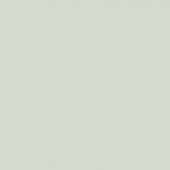 Краска Little Greene цвет Pearl Colour 100