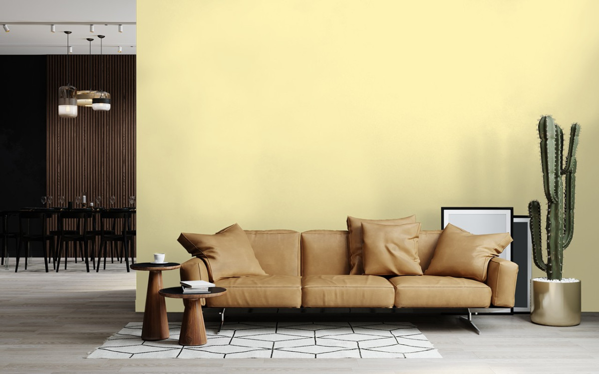 Краска Little Greene цвет Stargazer