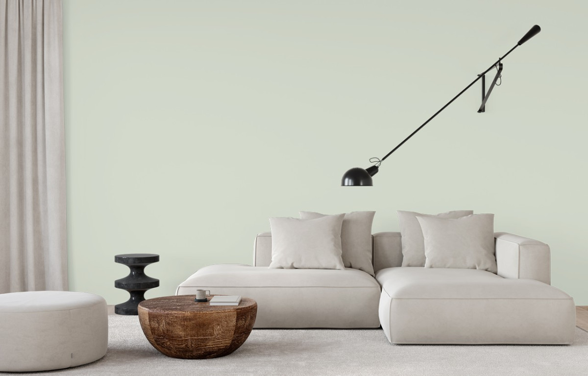 Краска Little Greene цвет Pearl Colour 100