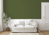 Краска Little Greene цвет Jewel Beetle 303