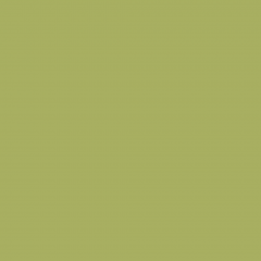 Краска Little Greene цвет Boxington 84