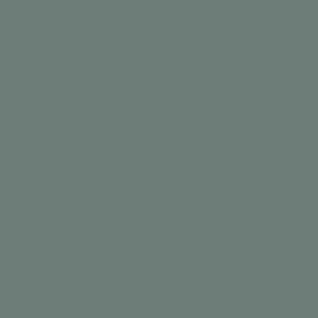 Краска Little Greene цвет Livid 263