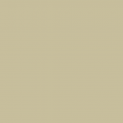 Краска Little Greene цвет Stone-Dark-Cool 67