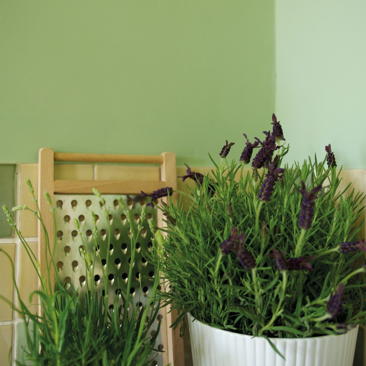 Краска Little Greene цвет Pea Green 91