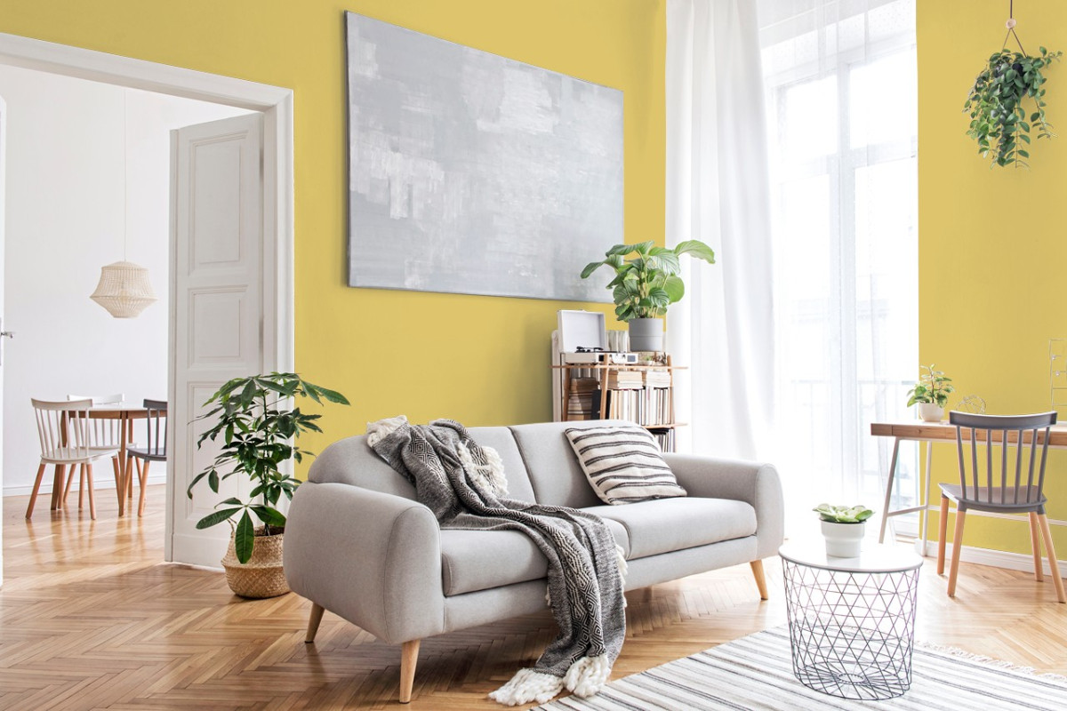 Краска Little Greene цвет Daffodil 136