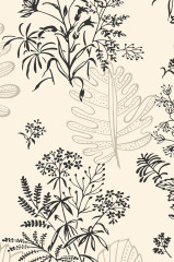 Обои Little Greene 20th Century Papers Norcombe Couture